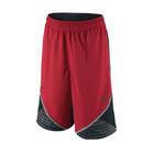 Детские баскетбольные шорты Lebron chainmail short yth - картинка